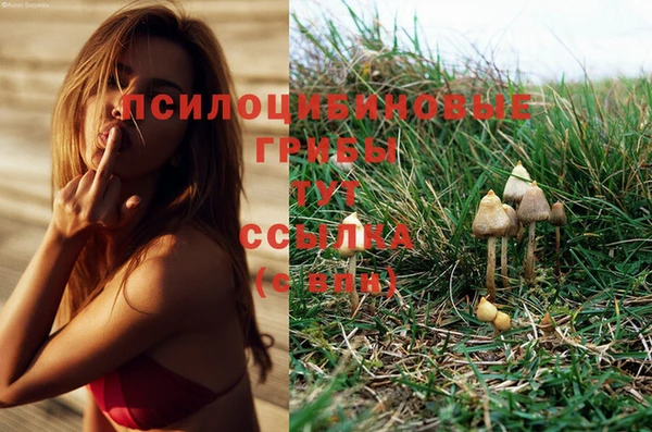 mix Арсеньев