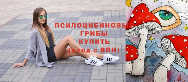 шишки Армянск